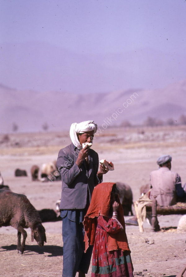 Afghani Farmers, Cattle Market, Kabul